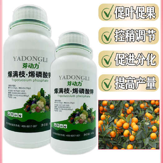 寿光市烯磷酸钾控旺爆满枝膨果上色促分化防畸形控梢控旺增产通用型肥