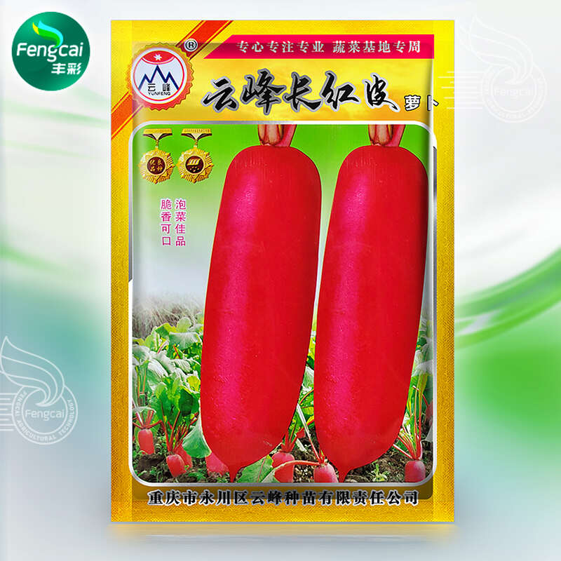 重庆云峰长红皮萝卜种子 脆香可口 泡菜佳品 味甜水多