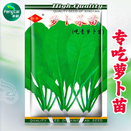 绵阳萝卜菜苗种子 专门吃青萝卜苗 商品性好 适应温度15-35℃