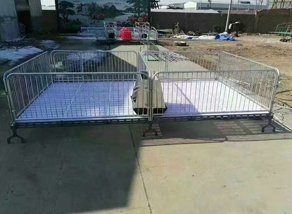 泊头市仔猪保育床