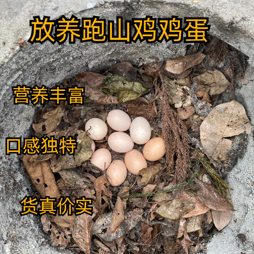 北川散养跑山鸡鸡蛋 30个/箱营养丰富口感独特