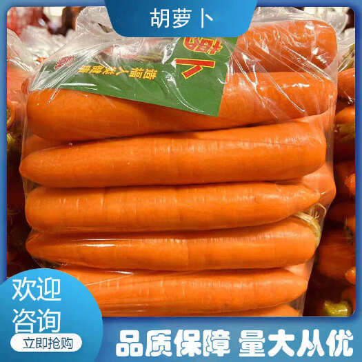 胡萝卜，三红胡萝卜，大量有货，品质保证，欢迎订购