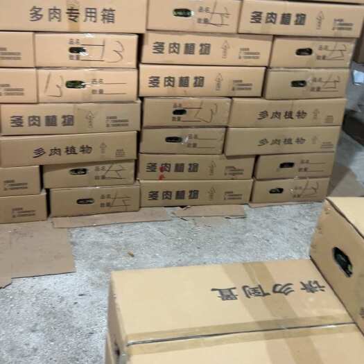 漳州基地自产自销大量13色优惠处理