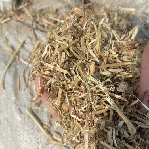 泌阳县花生秧