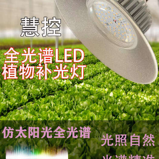 寿光市植物补光灯全光谱LED 大棚蔬菜生长灯 室内阳台种植灯 多肉