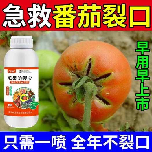 栾川县西红柿防裂果的专用裂果素果不裂番茄防裂剂抗裂提质增产丰收增甜