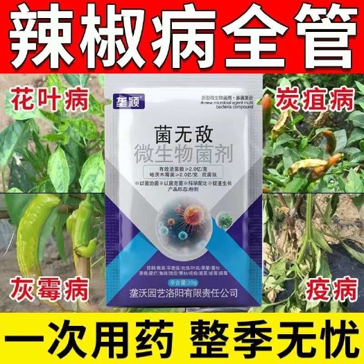 栾川县辣椒病全治专用病毒病卷叶病黄叶炭疽病疫病软腐病高效杀菌剂通用