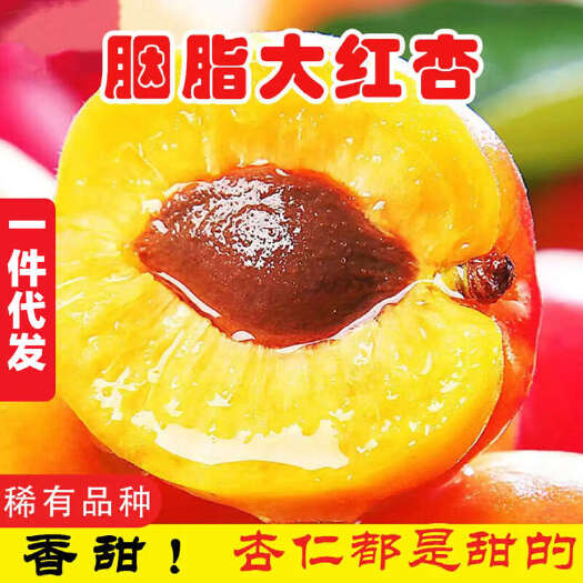 西安陕西胭脂红杏胭脂杏2斤/4斤一件代发