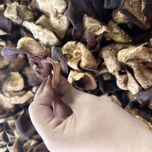 广州陈皮 专批 实拍 皮偏厚 片张大无断皮 大量批发