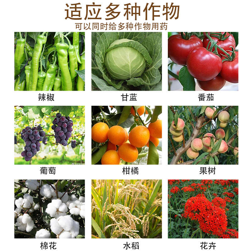 20%吡虫啉蚜虫稻飞虱腻虫蓟马叶蝉花卉蔬菜果树茶叶农药杀虫剂