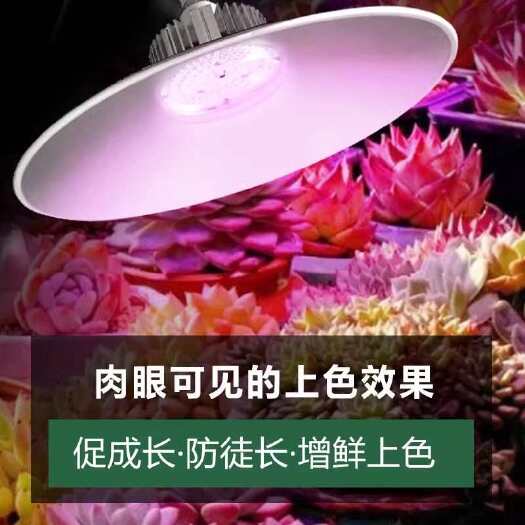 寿光市植物生长灯LED温室大棚室内家用蔬菜盆栽花卉绿植多肉补光灯包
