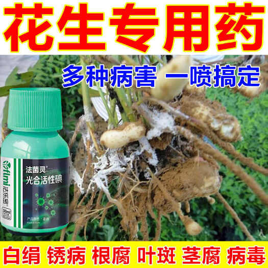 栾川县花生白绢病药花生病全治花生死棵烂根枯萎病菌核病锈病叶斑杀菌剂
