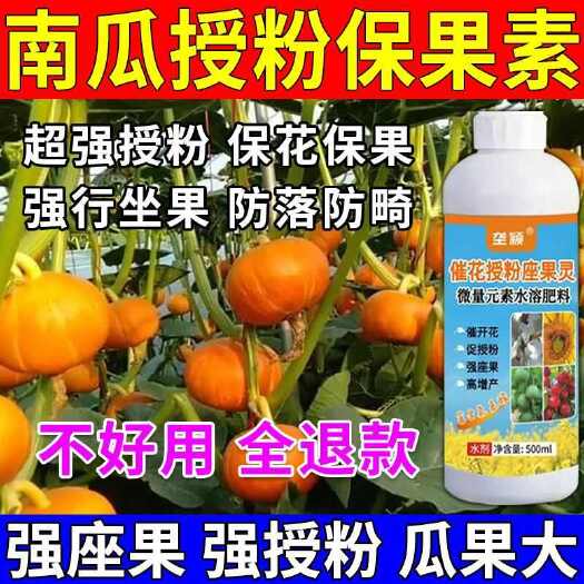栾川县南瓜专用授粉剂贝贝南瓜授粉药南瓜保花坐果药点花药催花增瓜灵