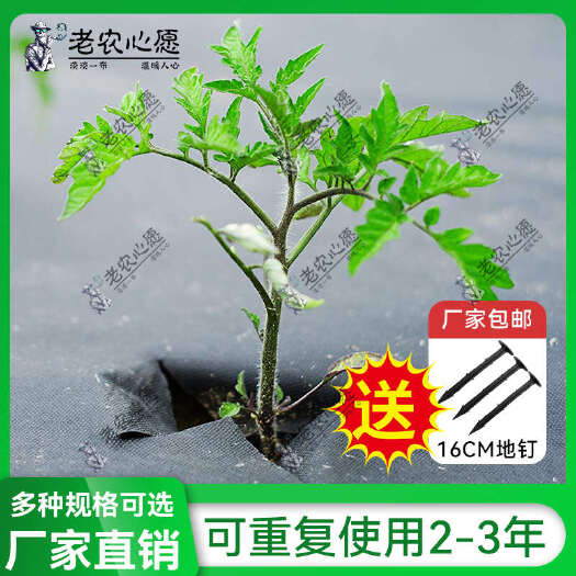 新型蔬菜防草布寸草不生農(nóng)用加厚遮草蓋草抗老化透氣保濕防草地布