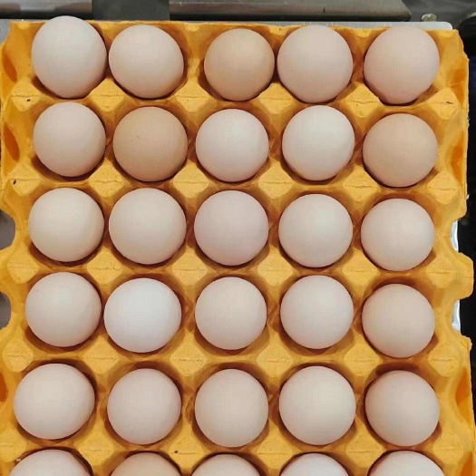 延津县精品双色粉蛋，规格齐全