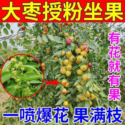 栾川县枣树专用座果灵】枣树授粉药防落素免沾花催花座果灵保花保果高产
