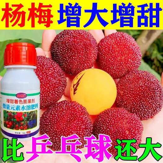 栾川县杨梅专用增甜着色膨果剂增产着色催红大小颗防落果防裂果叶面肥料