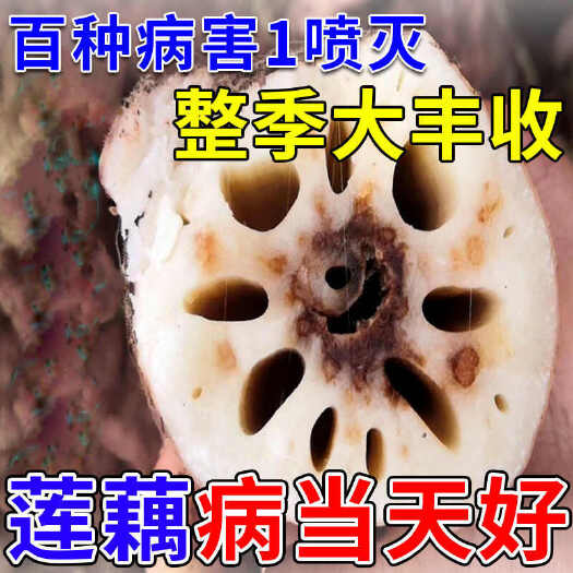 栾川县莲藕病全治莲藕病专用药莲藕病毒病褐纹病叶斑病腐败病莲藕灭菌剂