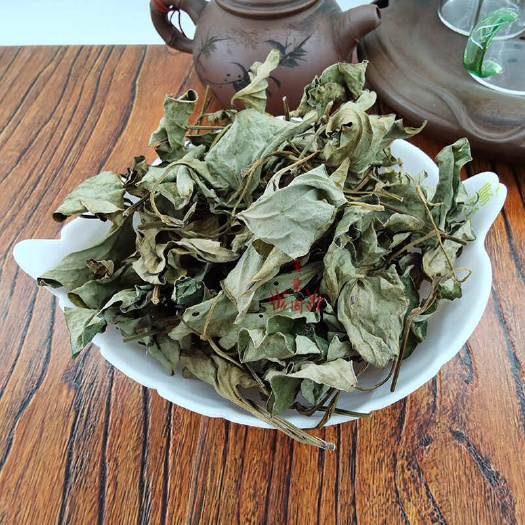 兴宁市鱼腥草 折耳菜 折耳根 中药材 中草药