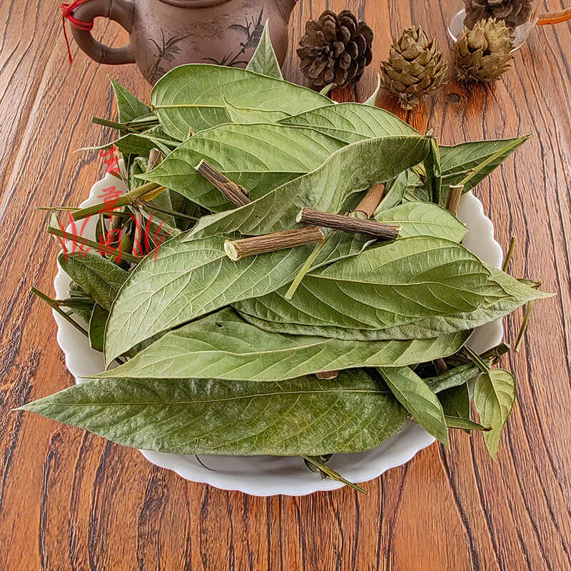 葫芦茶  田刀柄 咸鱼草 狗舌犁葫芦叶根中药材中草药