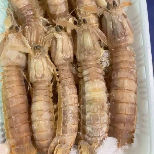 乳山市皮皮虾