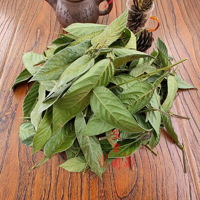 葫芦茶  田刀柄 咸鱼草 狗舌犁葫芦叶根中药材中草药