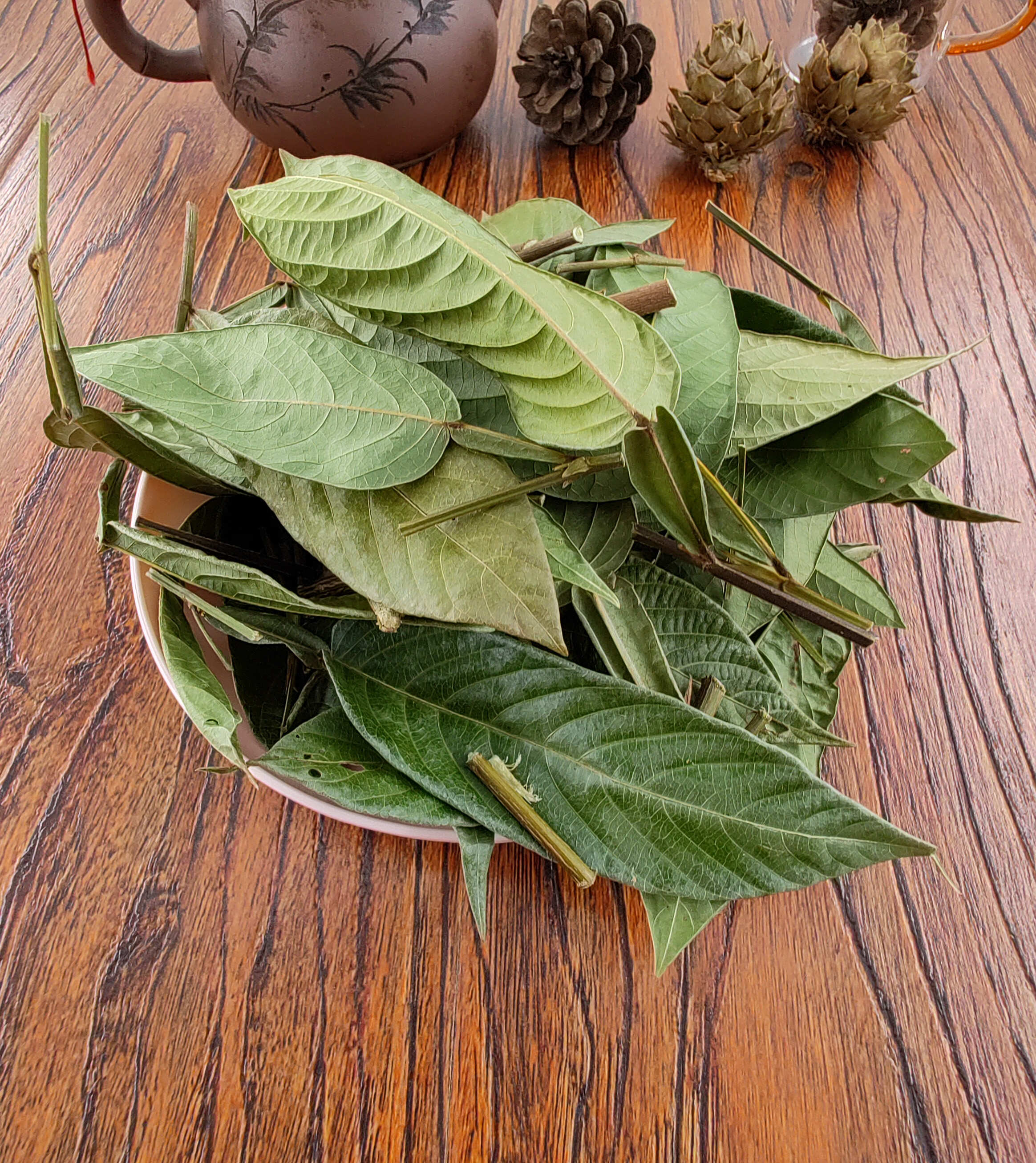 葫芦茶  田刀柄 咸鱼草 狗舌犁葫芦叶根中药材中草药