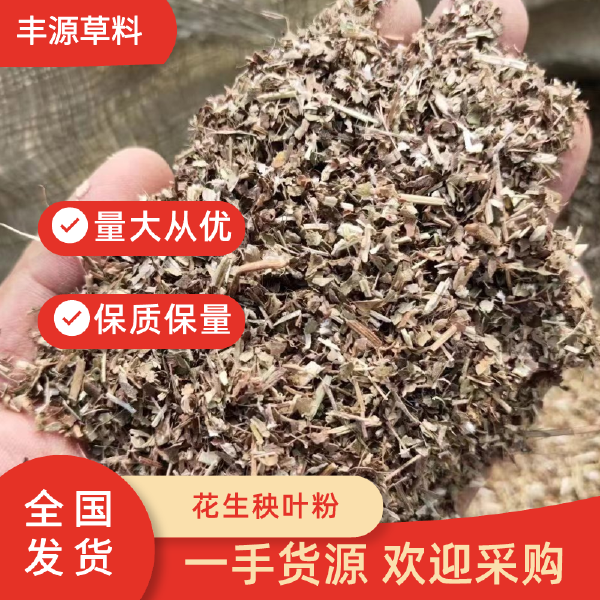 花生秧叶粉 花生秧风选叶粉 质量保证 大量有货