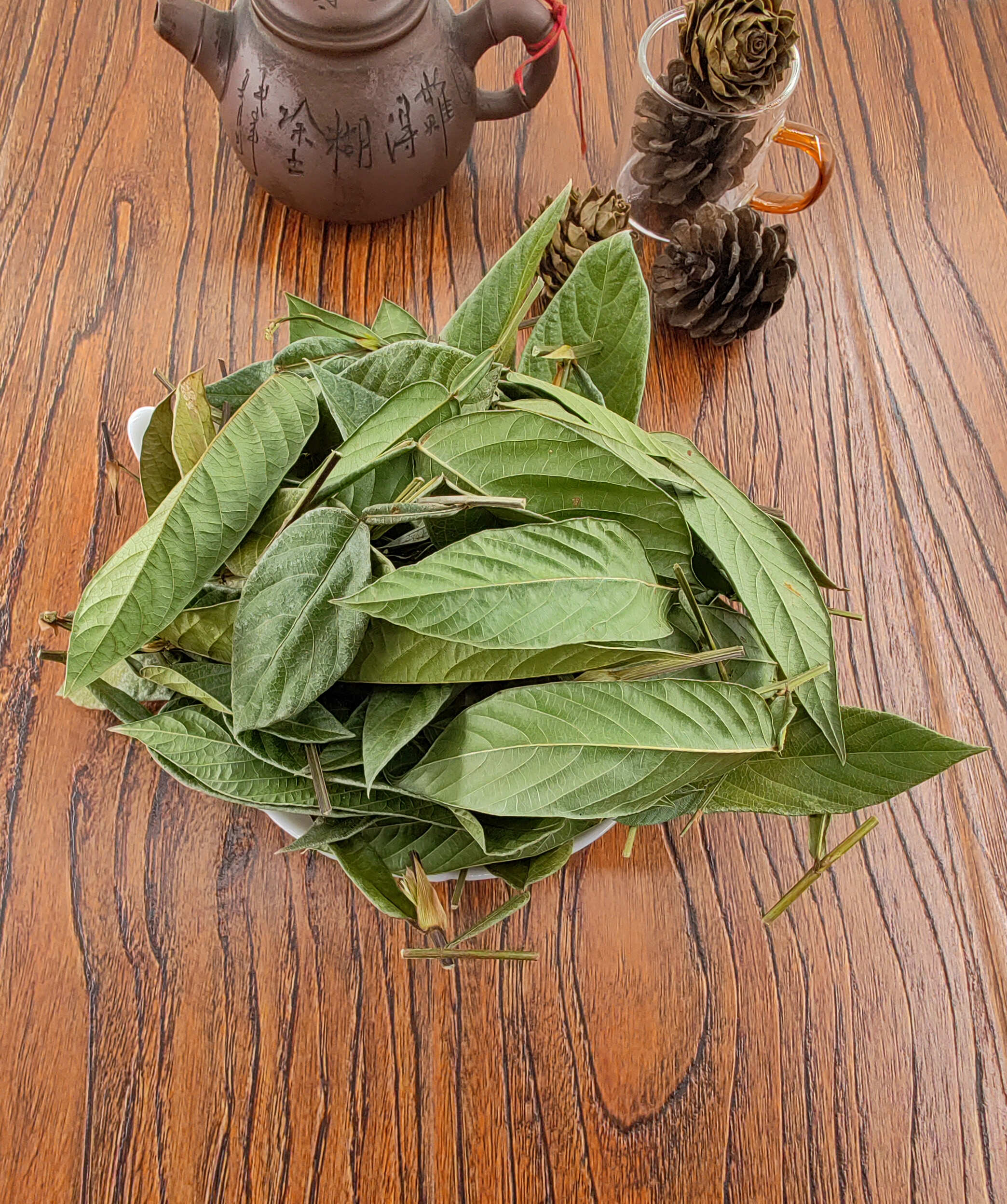 葫芦茶  田刀柄 咸鱼草 狗舌犁葫芦叶根中药材中草药