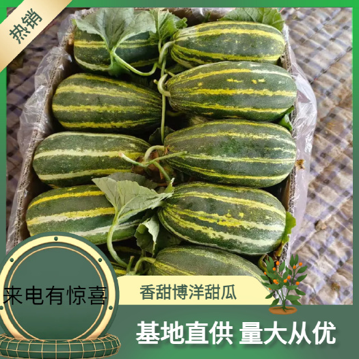 费县博洋甜瓜  博洋九，，费县产地，甜脆，山东，口感很好，耐运输