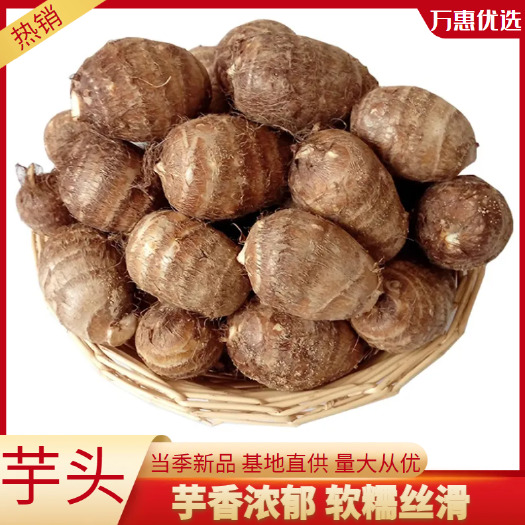 沂水县山东毛芋头8520，芋头。一手货源芋头批量发货产地直供