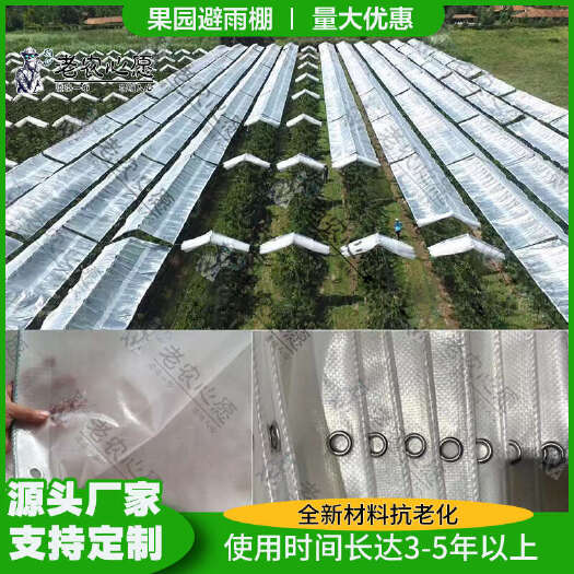 防霜透明網(wǎng)格布耐高溫新款防雨布植物果樹遮陽農(nóng)用果園遮雨布
