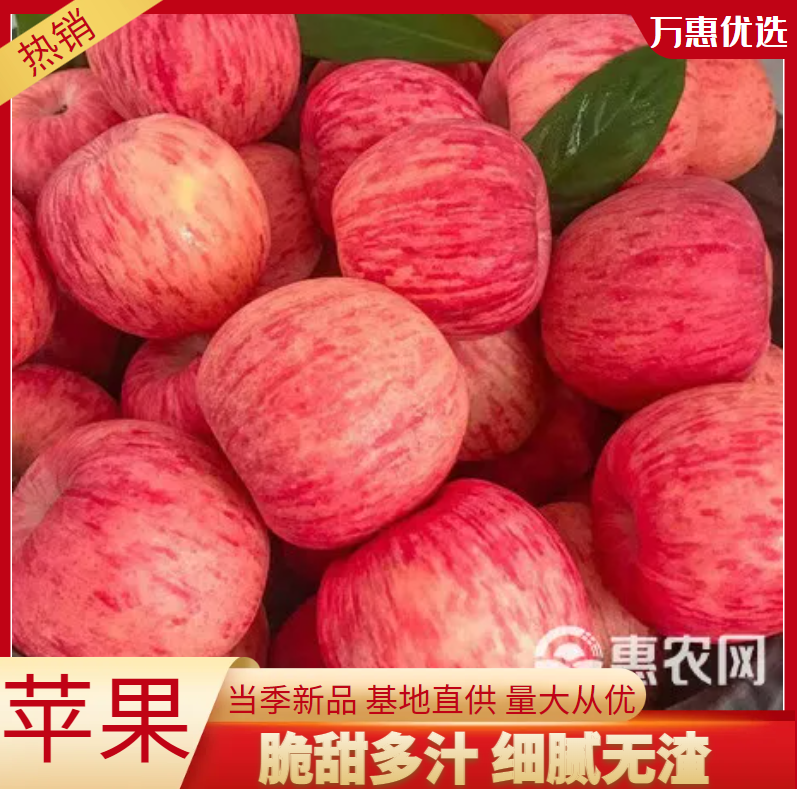 山东大苹果，纸袋产地直供，红星，红将军，红露。红富士苹果