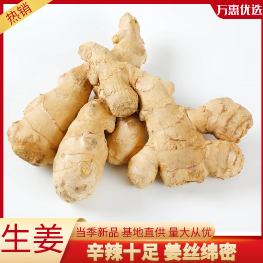 沂水县当季新品大黄姜 鲜姜大量上市大黄姜，小黄姜。山东主产地