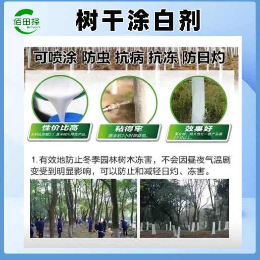 潍坊苗木果树大树树干涂白剂保护剂刷树粉防冻剂杀菌杀虫防冻防晒