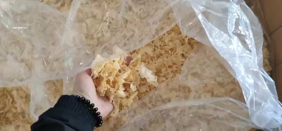 古田县银耳片 银耳碎奶茶店使用