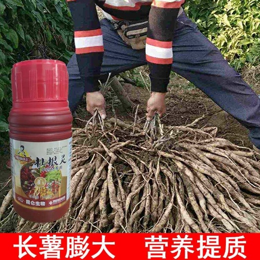 陇西县中药材壮根灵膨大剂党参当归黄芪柴胡太子参半夏根无激素膨大套餐