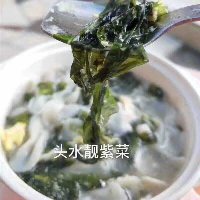 头水紫菜无沙免洗嫩绿紫菜干货优质蛋花汤即食特级头水紫菜