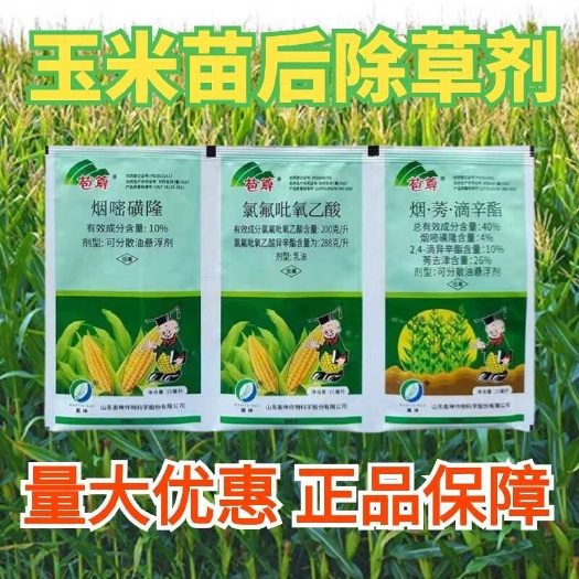 兴文县苞尊三连包玉米苗后除草剂烟嘧磺隆氯氟莠去津苞米地不伤苗除草剂