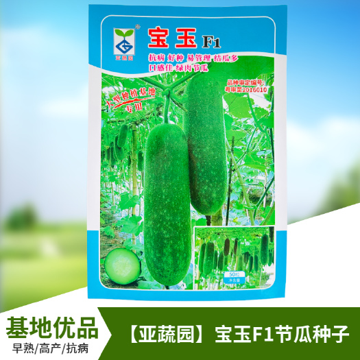 武汉农科院小冬瓜种子水果迷你毛节瓜种籽大全早熟高产耐热蔬菜种孑