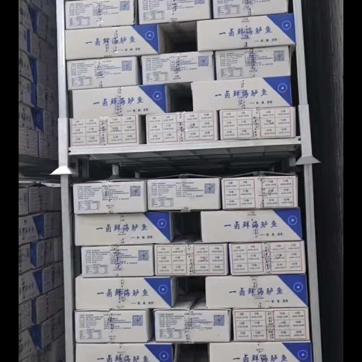 济南一卤鲜鲈鱼 去麟去腮去内脏 精汤腌制而成 操作简单方便快捷