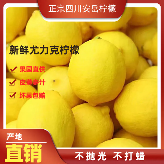 长沙新鲜四川安岳黄柠檬规格齐全皮薄多汁不抛光不打蜡
