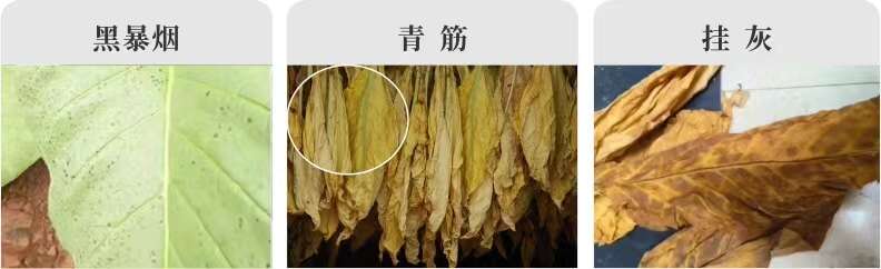 烟房宝 烤房宝烤烟房专用烤黄剂1+1烟房宝助剂烟黄宝减少青筋