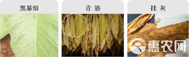 烟房宝 烤房宝烤烟房专用烤黄剂1+1烟房宝助剂烟黄宝减少青筋