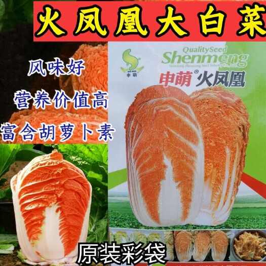 洛阳火凤凰大白菜种子，橘红心白菜，耐热耐湿，抗病强，基地种植