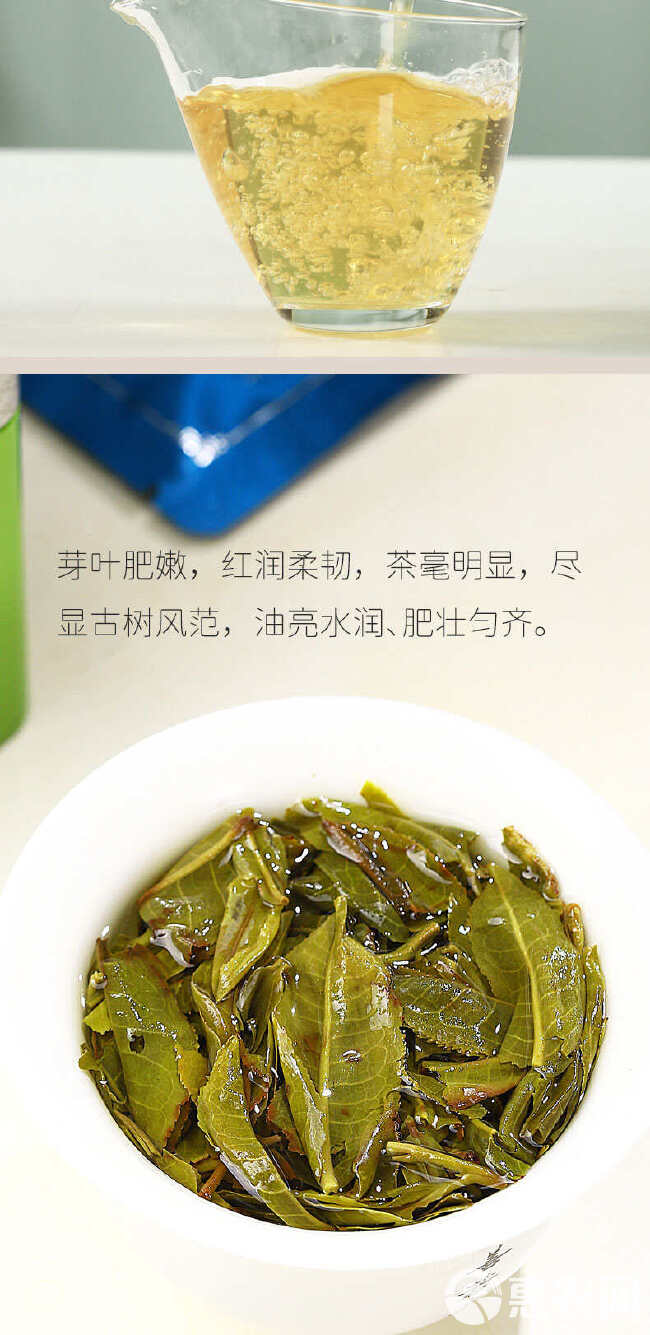 普洱茶生茶小茶饼普洱茶一字饼方便好喝普洱茶生普小饼茶