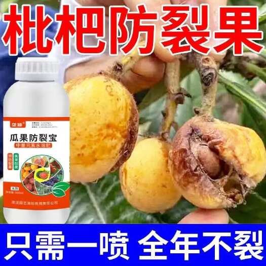 栾川县枇杷防裂果专用防裂剂防枇杷炸口烂果落果不裂果瓜果防裂宝水溶肥