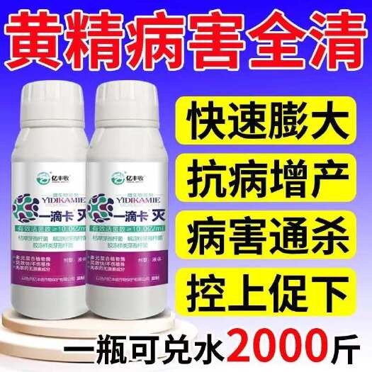 栾川县黄精黄叶根腐专用药黄精病全治杀菌剂枯萎病黑斑病叶斑病炭疽病清