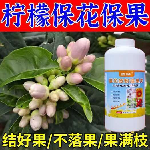 强力座果】柠檬催花坐果素授粉座果精防治不开花不结果柠檬增产剂