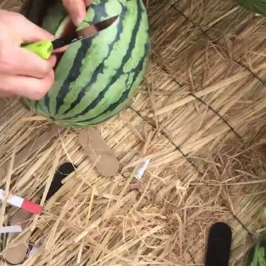 南宁甘美4k，大量上市